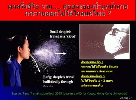ไข้หวัดใหญ่ 2009
