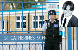 ไข้หวัดใหญ่ 2009