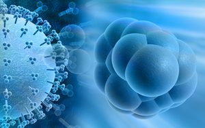 สเต็มเซลล์ Stemcell