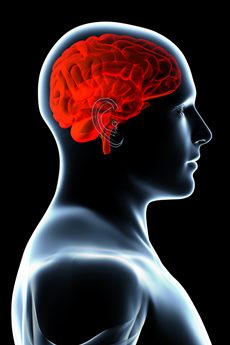 อัมพาต หลอดเลือดในสมอง