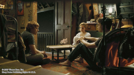Harry Potter and the Half - Blood Prince 