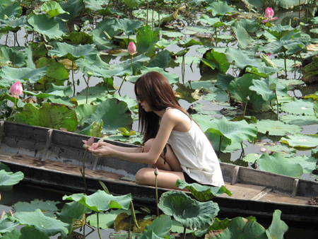 ปอย ตรีชฏา