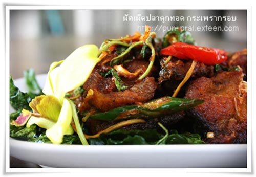 ผัดเผ็ดปลาดุกทอด กะเพรากรอบ