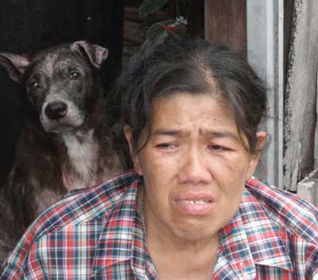 สัตว์เลี้ยง