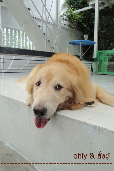 ฮั่งตู๋