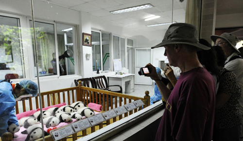 ลูกหมีแพนด้า