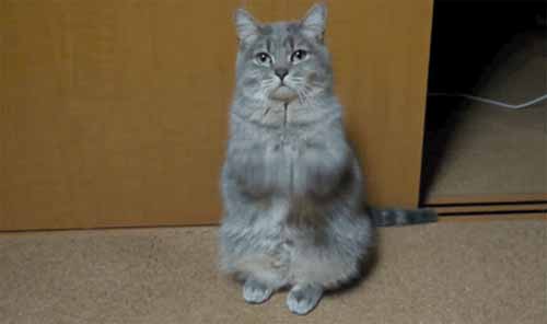 ขอให้ผมเถอะน้า ผมขอร้อง