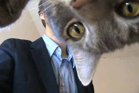 คัท ๆ ๆ !! ซีนนี้ขอเล่นใหม่ เพราะน้องแมวมาทำลายแผน