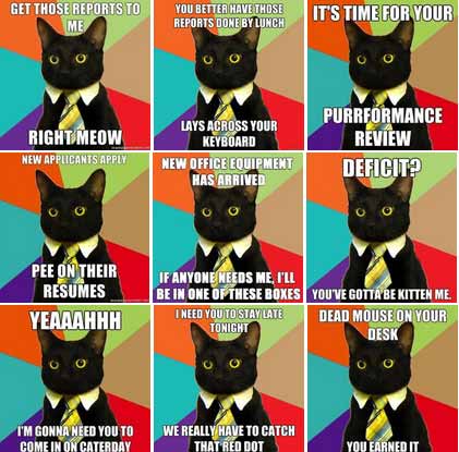 โปสเตอร์แบบเหมียว ๆ มาหาเสียงกันดีกว่า