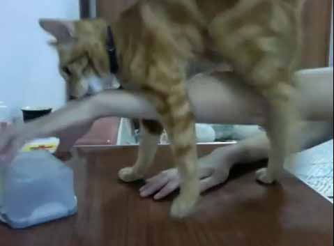  เจ้านายเปิดให้หน่อย ยืมมือเปิดให้ผมหน่อยสิคร้าบบ