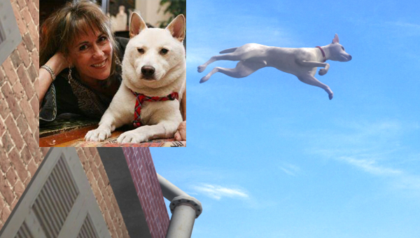 //haadmin.kapook.com//img.kapook.com/image/pet_2/dog_1.jpg