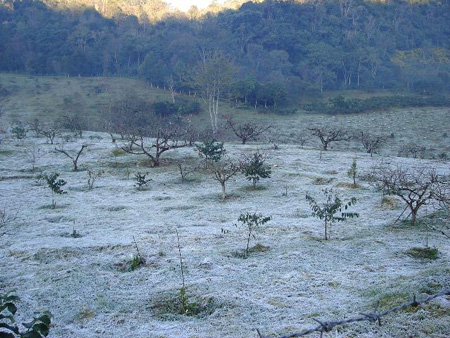 แม่คะนิ้ง