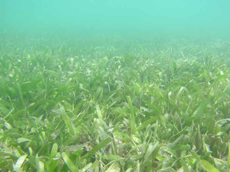 อุทยานแห่งชาติหาดเจ้าไหม