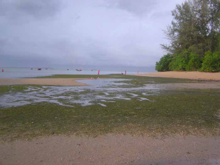 อุทยานแห่งชาติหาดเจ้าไหม
