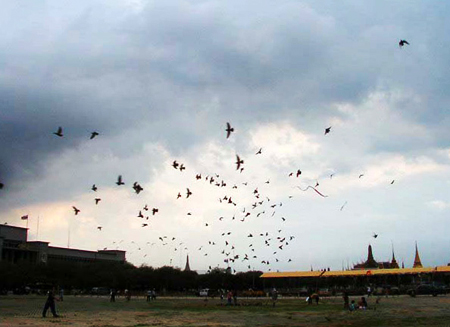 สนามหลวง