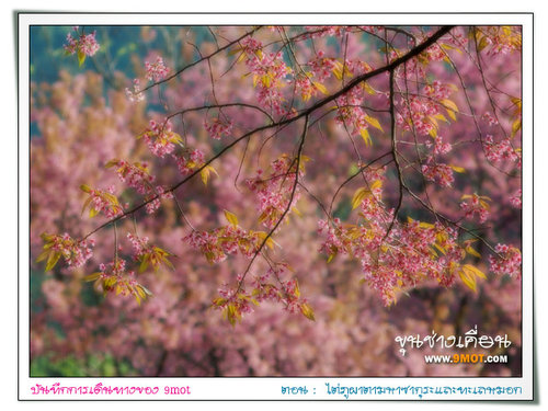 ขุนช่างเคี่ยน