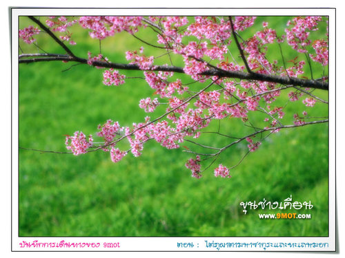 ขุนช่างเคี่ยน