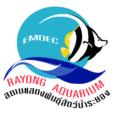 สถานแสดงพันธุ์สัตว์น้ำจังหวัดระยอง 
