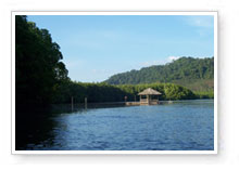 เกาะช้าง