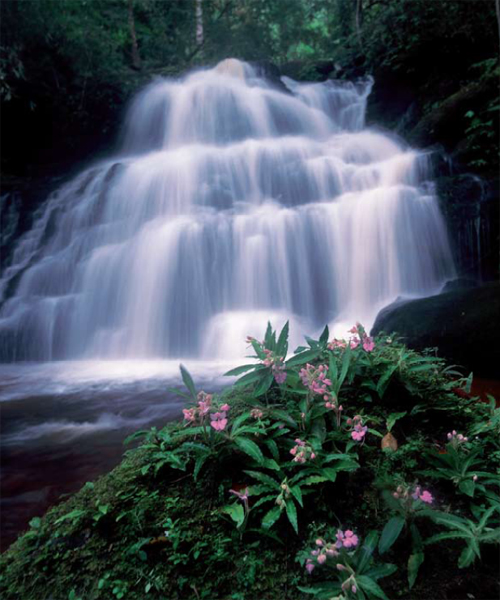 ภูหินร่องกล้า