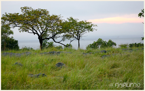เกาะสีชัง