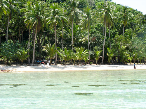 เกาะหวาย