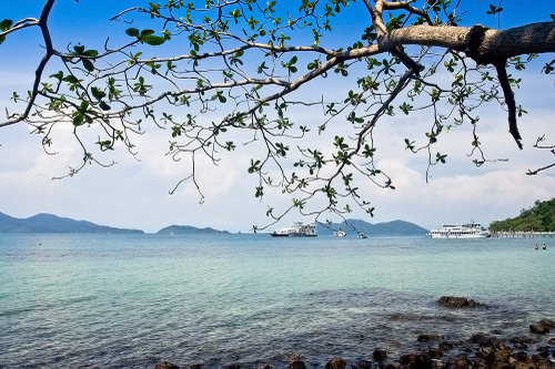 เกาะหวาย