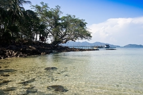 เกาะหวาย