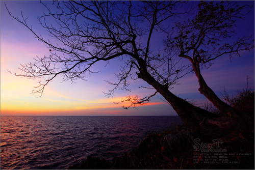 เกาะราชา