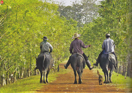 สระแก้ว
