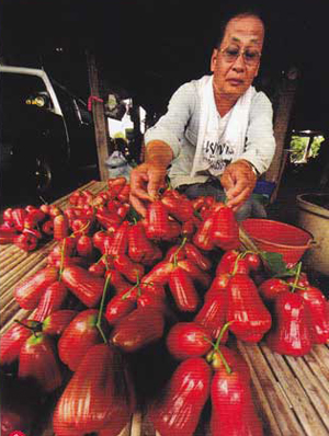 สระแก้ว