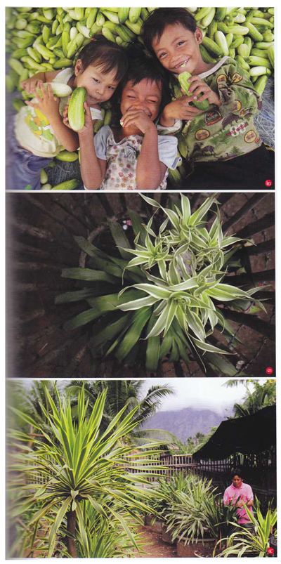 สระแก้ว