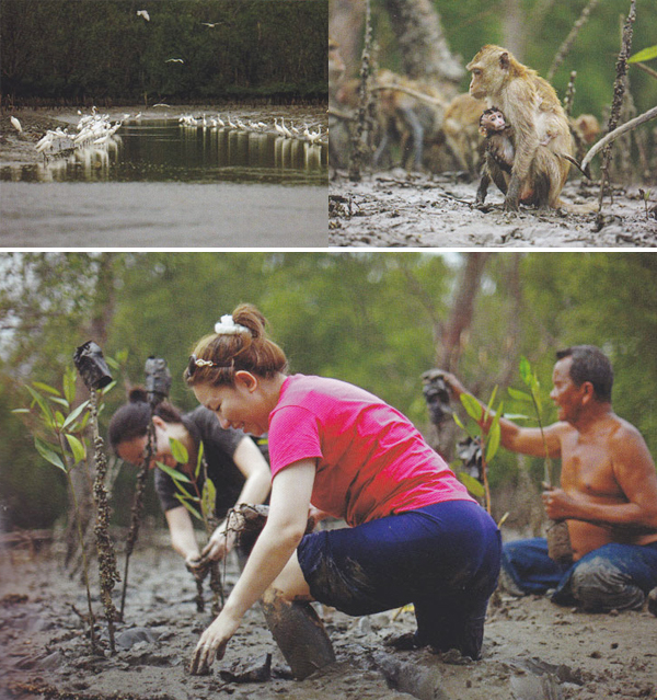 สมุทรสงคราม