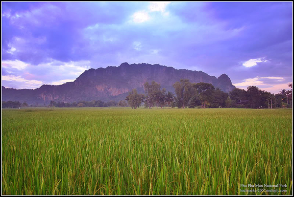 ภูผาม่าน