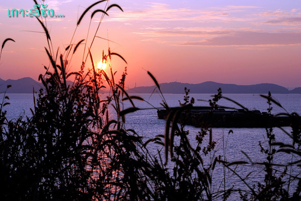 เกาะสีชัง