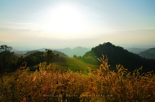 ดอยเสมอดาว