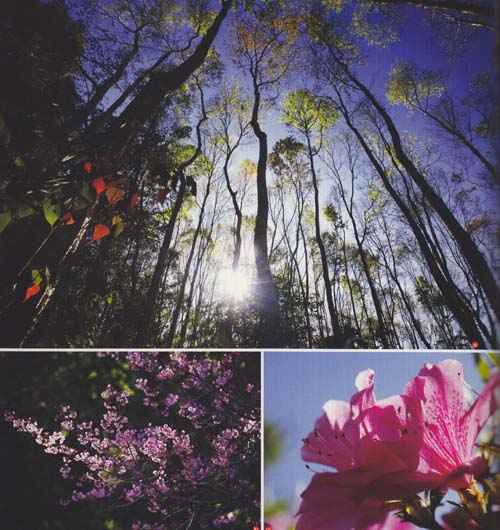 ขุนสถานบ้านในหุบเขา