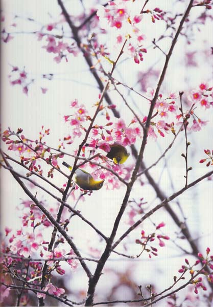 ขุนสถานบ้านในหุบเขา