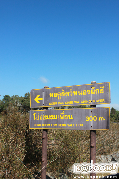 เขาใหญ่