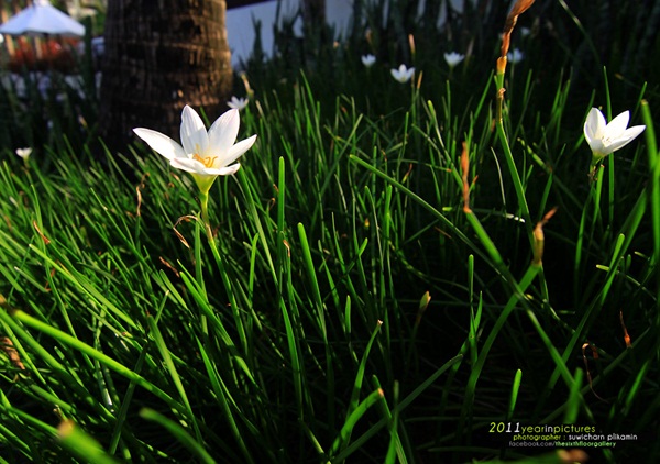 ช็อตเด็ด! เก็บภาพประทับใจจากการเดินทางปี 2011