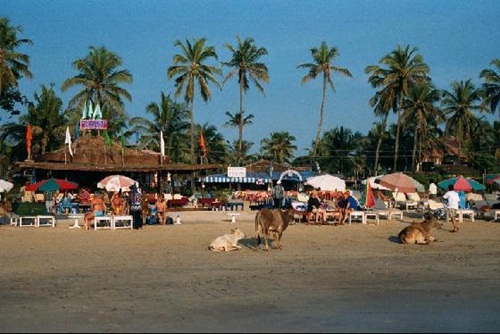 พัทยา ติด 1 ใน 7 ชายหาดที่ควรหลีกเลี่ยงทั่วโลก