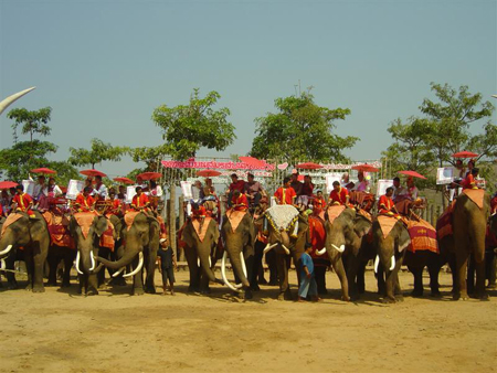 แต่งงาน