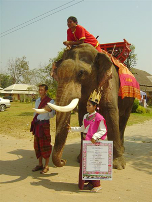 แต่งงาน