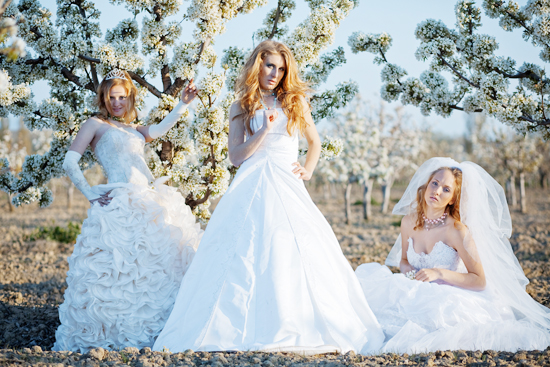 ชุดแต่งงานสไตล์เจ้าหญิง