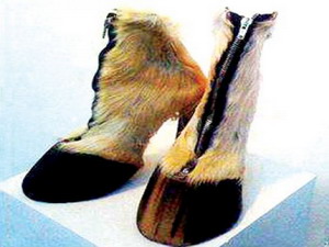 รองเท้าแฟชั่น