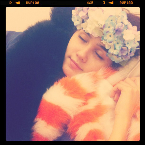 ชมพู่ - อารยา เอ ฮาร์เก็ต