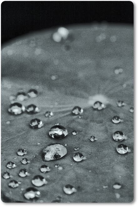 จะทำอย่างไร หากรักกับคนที่มีครอบครัวแล้ว จะทำอย่างไร หากรักกับคนที่มีครอบครัวแล้ว