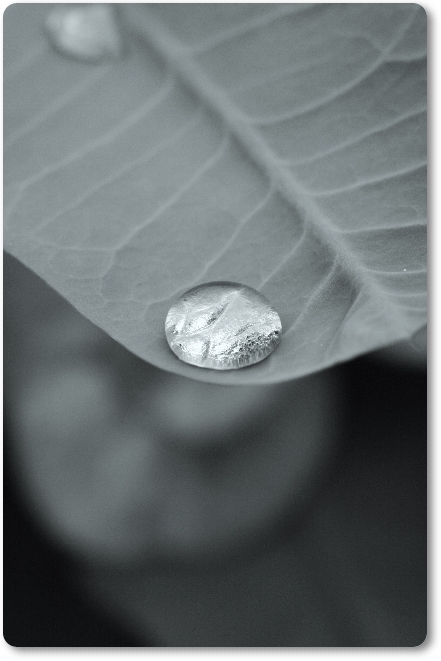 จะทำอย่างไร หากรักกับคนที่มีครอบครัวแล้ว จะทำอย่างไร หากรักกับคนที่มีครอบครัวแล้ว