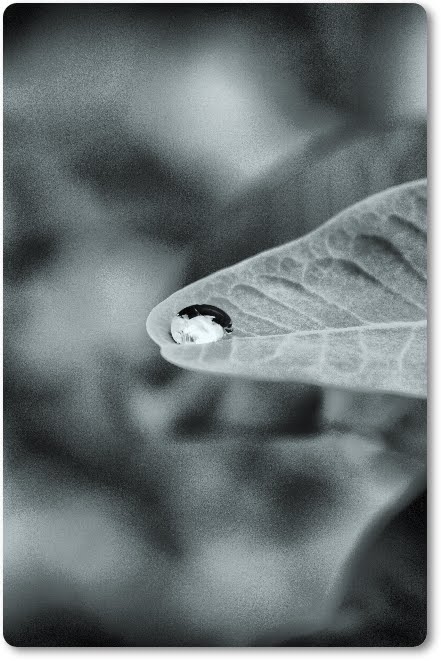 จะทำอย่างไร หากรักกับคนที่มีครอบครัวแล้ว จะทำอย่างไร หากรักกับคนที่มีครอบครัวแล้ว