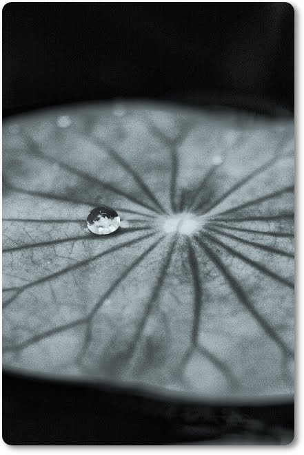 จะทำอย่างไร หากรักกับคนที่มีครอบครัวแล้ว จะทำอย่างไร หากรักกับคนที่มีครอบครัวแล้ว